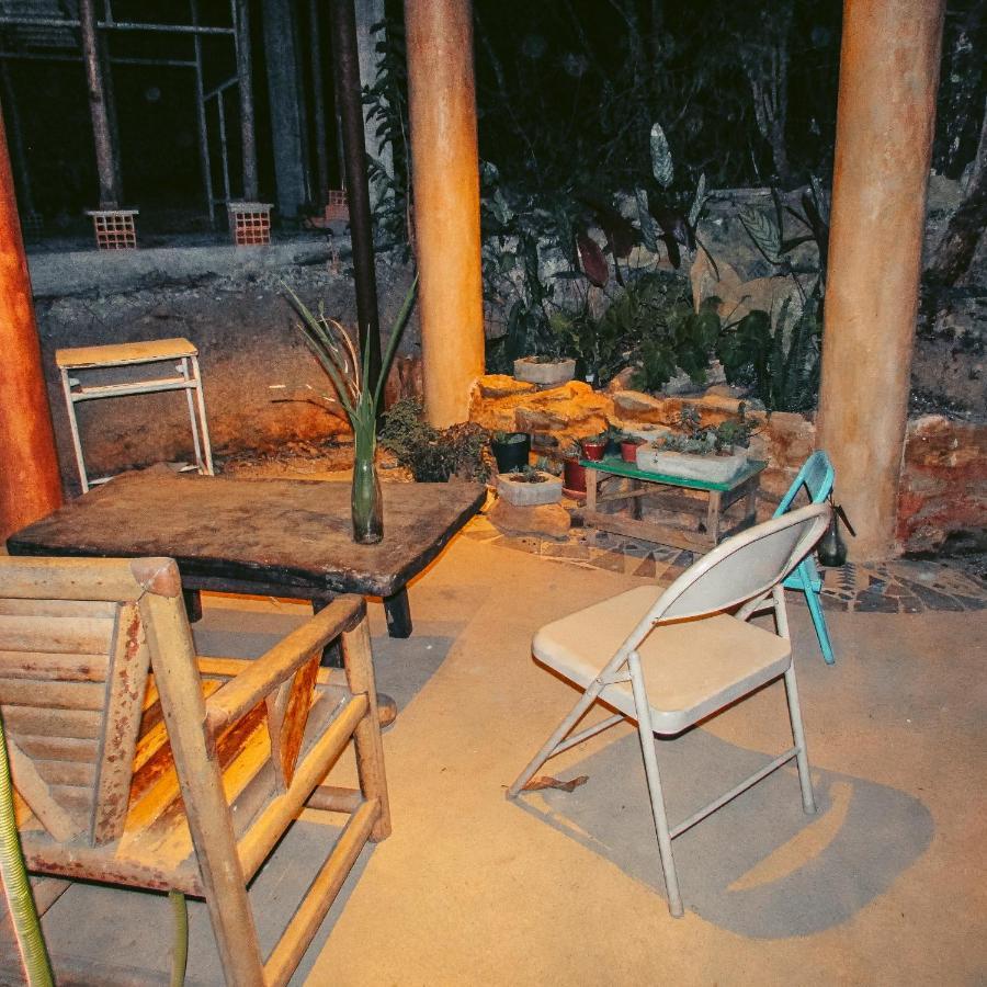 הוילה Alto Paraíso de Goiás Chale Sossego E Casa Flora מראה חיצוני תמונה